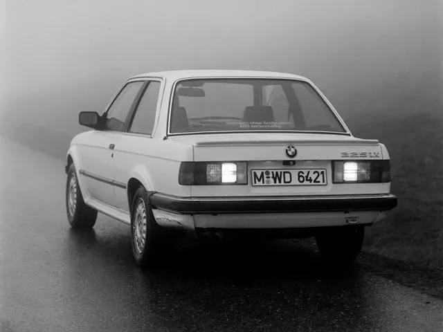 BMW 3 series 325ix 1987 photo - 4