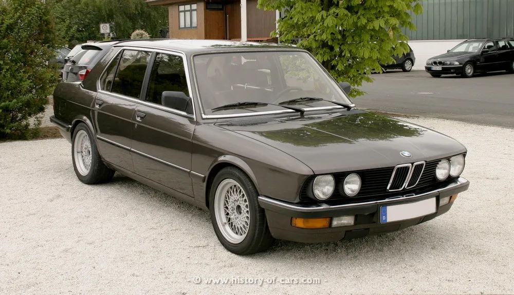 BMW 5 series 520i 1984 photo - 10