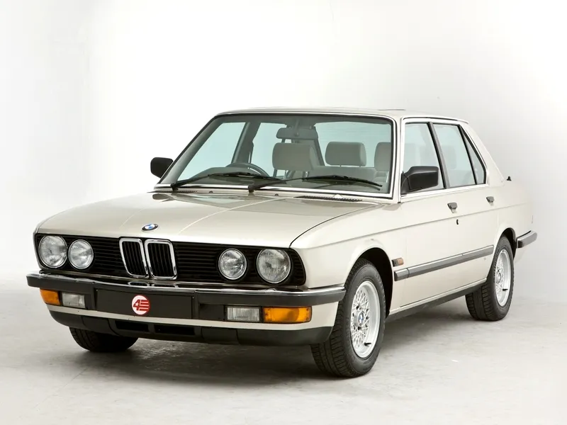 BMW 5 series 525e 1981 photo - 5