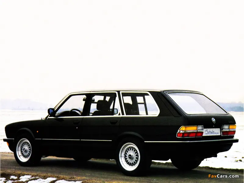 BMW 5 series 525i 1984 photo - 3