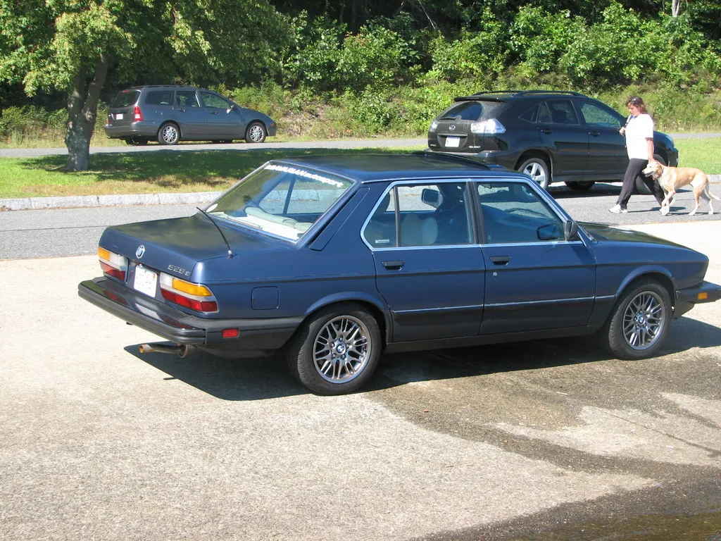 BMW 5 series 528e 1984 photo - 10
