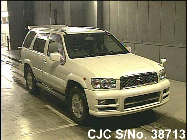 Nissan Terrano 3.3 2001 photo - 2