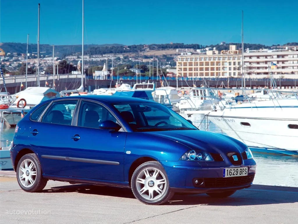 SEAT Ibiza 1.8 2003 photo - 12