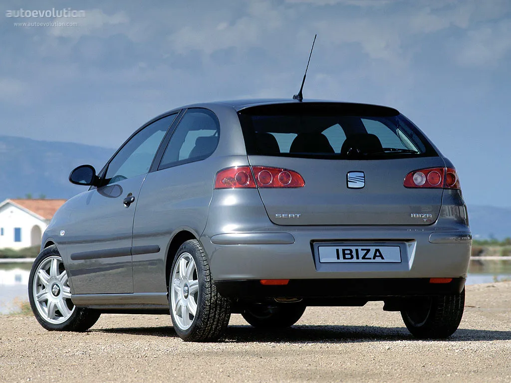 SEAT Ibiza 1.8 2003 photo - 3