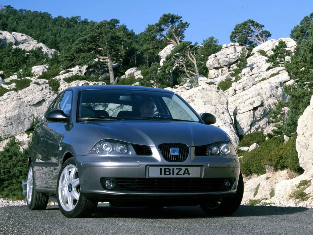 SEAT Ibiza 1.8 2004 photo - 8