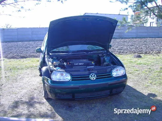 Volkswagen Golf 1.3 1999 photo - 12